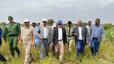 صورة وزير الزراعة : أيام تشاورية حول الزراعة في موريتانيا