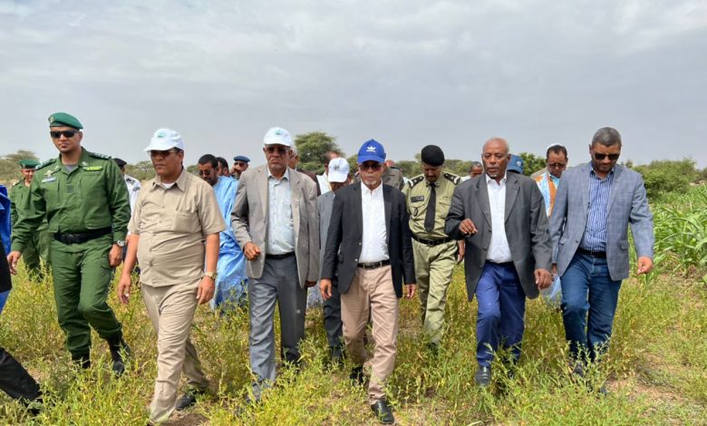 صورة وزير الزراعة : أيام تشاورية حول الزراعة في موريتانيا