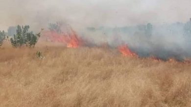 صورة الهيئة الوطنية للارصاد تتوقع نشوب حرائق في 4 ولايات  بينها لعصابه