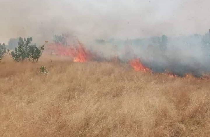 صورة الهيئة الوطنية للارصاد تتوقع نشوب حرائق في 4 ولايات بينها لعصابه