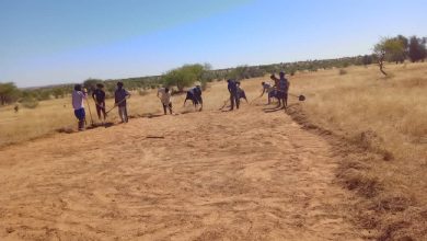 صورة لعصابه /جهود كبيرة تبذلها مندوبية البيئة ضد الحرائق