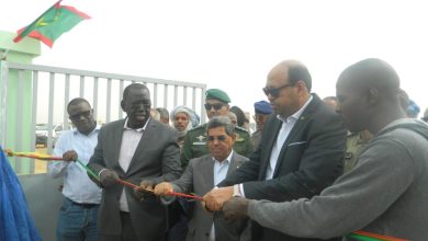 صورة كيفه / وزير التنمية الحيوانية يدشن حفل استلام سوق الماشية الجديد