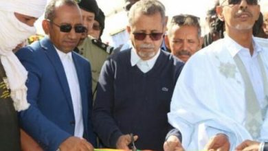 صورة تگانت / وزير الزراعة يشرف على تدشين مزرعة نخيل نموذجية