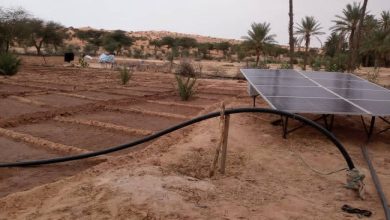 صورة PRODEFI / تجربة رائدة لصناديق القرض والادخار لدعم التعاونيات  التي ابتكرها المشروع