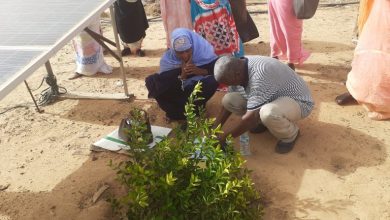 صورة الحوض الغربي / تثمين لجهود مشروع تنمية الشعب الشاملة PRODEFI