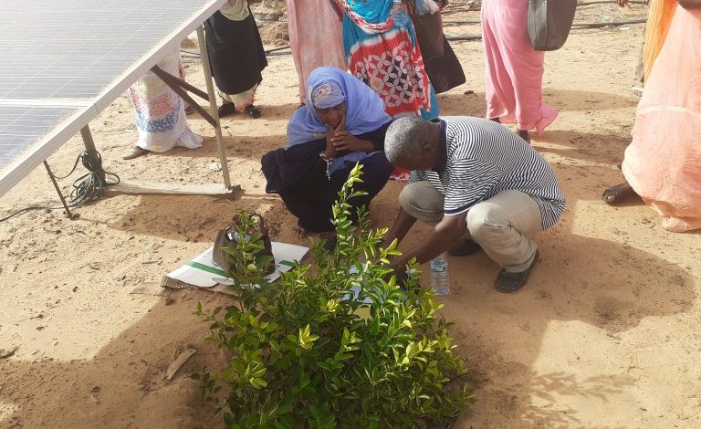 صورة الحوض الغربي / تثمين لجهود مشروع تنمية الشعب الشاملة PRODEFI