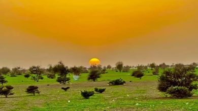 صورة موريتانيا / انخفاض لدرجات الحرارة ابتداء من الخميس