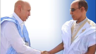 صورة حضور بارز للدكتور محمد محمود ولد سيد يحي في أنشطة حزب الانصاف بكيفة..