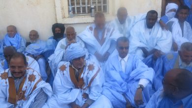 صورة تظاهرة حاشدة لمجموعة  دعم ترشيح الدكتور دده المصطف حمادي