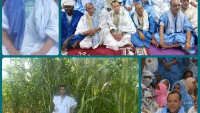 صورة كيفه / لمرابط ولد  الطالب ألمين وأحمد ولد الحسين …. أحدهما قاد ثورة سياسية والآخر قاد ثورة تنموية زراعية