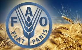 صورة منظمة الاغذية والزراعة تراجع اسعار المواد الغذائية بنسبة 20.5 %