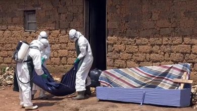 صورة بسبب ماربورغ دول خليجية تدعوا مواطنيها الى عدم السفر الى دول افريقية