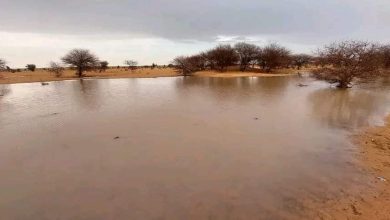 صورة تساقطات مطرية على عدم مناطق من الشرق الموريتاني