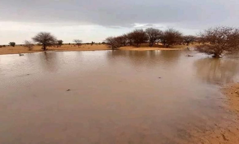 صورة تساقطات مطرية على عدم مناطق من الشرق الموريتاني