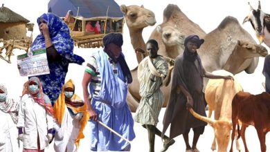 صورة المشروع الجهوي لدعم النظام الرعوي  PRAPS2  / اعتماد  لجان تسيير الشكاوي لصالح التجمعات الرعوية