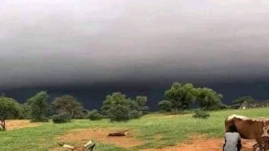 صورة لعصابة / تساقطات مطرية  هامة على عدة مناطق وتجمعات سكنية