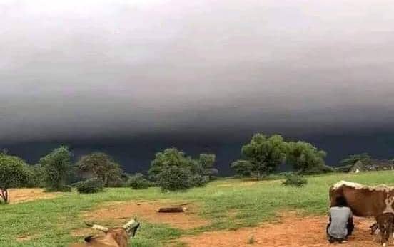 صورة لعصابة / تساقطات مطرية  هامة على عدة مناطق وتجمعات سكنية