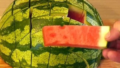 صورة البطيخ (الدلاح)  فوائد كبيرة وخاصة في فترة الصيف