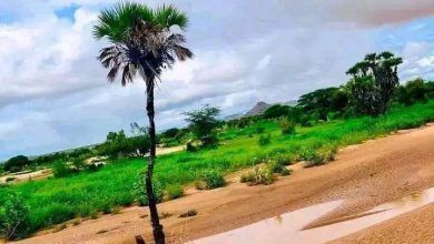 صورة كيفه  / أمطار غزيرة  اليلة البارحة شملت العديد من المناطق