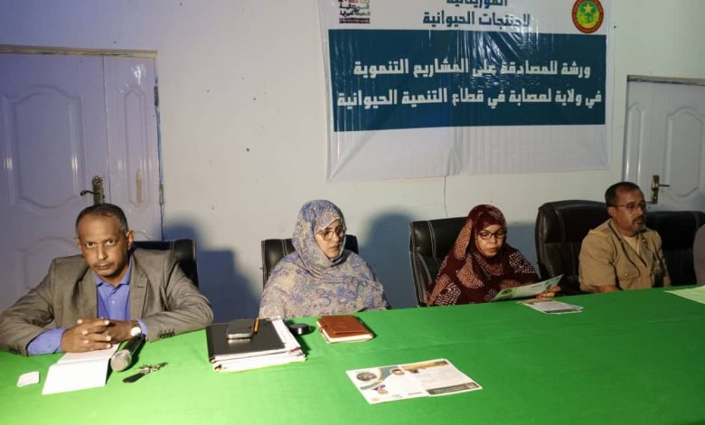 صورة كيفه / الموريتانية للمنتجات الحيوانية تطلق ورشة المصادقة على المشاريع التنموية في الولاية