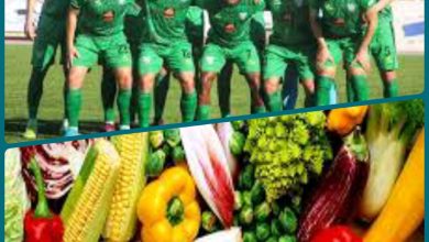 صورة هل تجد الزراعة من الاهتمام  لدى العمد ماحظيت به منافسات كرة القدم