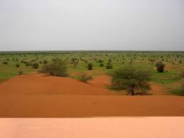 صورة كيفه / مخاوف وهواجس لدى المنمين من توقف الامطار