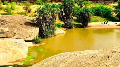 صورة الهيئة الوطنية للأرصاد تتوقع امطار على ولايات من بينها لعصابه