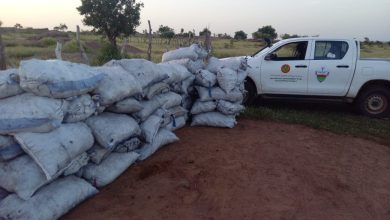 صورة كيفه / المندوبية الجهوية للبيئة تصادر كميات كبيرة من الفحم عن طريق دورية اطلقتها لتقييم المجال الرعوي والتحسيس بخطورة إشعال الحرائق