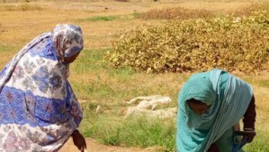 صورة احسي الطين / فتيات تم تكوينهم من طرف praps2 في مجال الزراعة يستعدون  لتغيير واقع الزراعة