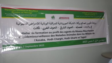 صورة كيفه / انطلاق أعمال ورشة تكوينية  لصالح وكلاء الشبكة الموريتانية  للمراقبة الوبائية للأمراض الحيوانية ممولة من طرف REDISSE