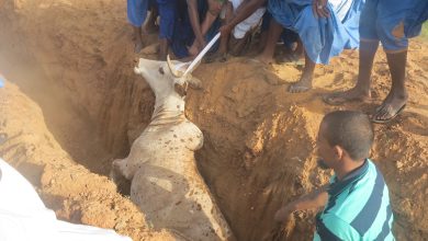 صورة شق  طريق جلب المياه من بوكادوم يلحق أضرارا بممتلكات المواطنين