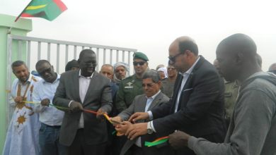 صورة كيفه / لماذا لايتم استغلال سوق الحيوان الذي انجزه  مشروع  PRAPS بأحسن المواصفات