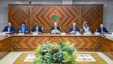 صورة موريتانيا تدين جرائم الاحتلال  الاسرائيلي في فلسطين