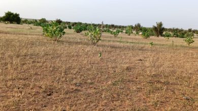 صورة بلدية بن النعمان / قرية اصليليحات الكبلية برمجة حظيرة تحصين الحيوانات ممولة من طرف PRAPS2