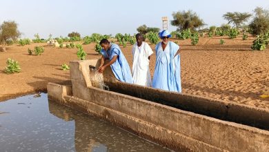 صورة الحوض الغربي / مسؤول قرية اصليلحات يثمن تدخل مشروع praps