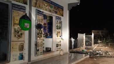 صورة كيفه /  اسراب الجراد تتسبب في إزعاج المواطنين ومنع المحلات التجارية  ليلا من الكهروباء