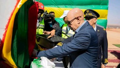 صورة رئيس الجمهورية يضع حجر الأساس لمشروع تطوير “منجم افديرك”