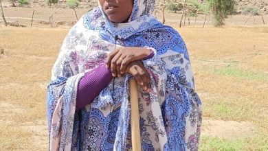 صورة Hsey-Thine : des filles qui ont été formées par le projet praprs 2 dans le cadre de l’agriculture et prêtes à améliorer le rendement de l’agriculture