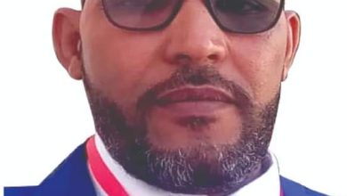 صورة البشمركي الكبير/ بقلم : سيدي محمد محمد المهدي بوجرانه