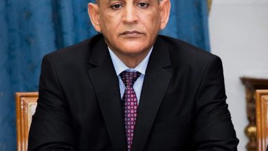 صورة برنامج زيارة وزير المياه والصرف الصحي لمدينة كيفه