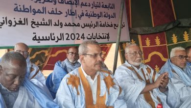 صورة واد الروظة / الوزير لمرابط بناهي يحضر تظاهرة  لتيار دعم الإنصاف في إطار حلف المواطنة لدعم ترشح الرئيس