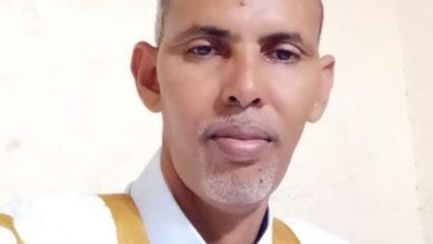 صورة ثنائية التنظير والتطبيق / الحسن ولد محمد الشيخ
