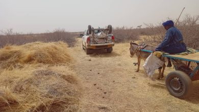 صورة كيفه / نجاح كبير لمصالح مندوبية البيئة في محاربة إستنزاف الغطاء العشبي عن طريق العربات