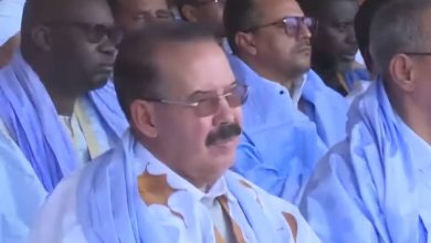 صورة نشاط مكثف للدكتور محمد محمود ولدسيد ابات في زياره رئيس الجمهوريه