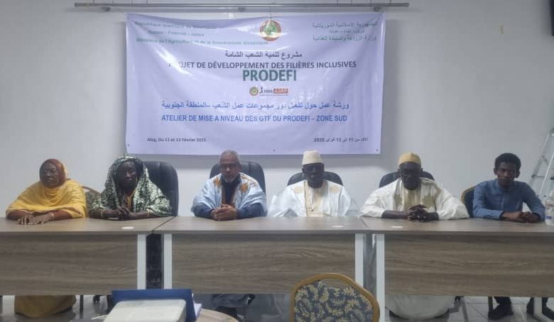 صورة ألاك / مشروع PRODEFI يطلق ورشة عمل حول تفعيل دور مجموعة أعمال الشعب بالمنطقة الجنوبية