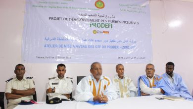 صورة الطينطان / مشروع تنمية الشعب الشاملة PRODEFI يطلق ورشة عمل لصالح مجموعة عمل الشعبة في المنطقة الشرقية