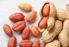 صورة الفوائد الغذائية و الصحية المتعددة للفول السوداني