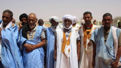 صورة كيفه / تجار المواشي ( التيفايه)  يشيدون بالسوق الجديد ويطالبون ببعض التجهيزات