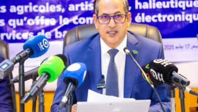 صورة وزارة التحول الرقمي وعصرنة الادارة تطلق بوما تدريبيا حول ريادة الاعمال