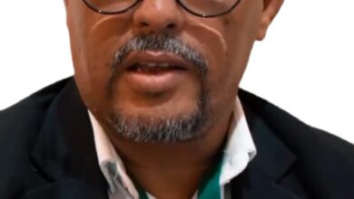 صورة انبيكت لحواش / النداء الاخير / بقلم  محمد ولد عمار